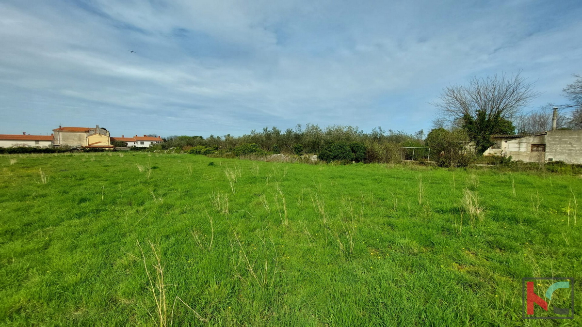 Istria, Dignano, Galižana, terreno edificabile 4583m2, #vendita