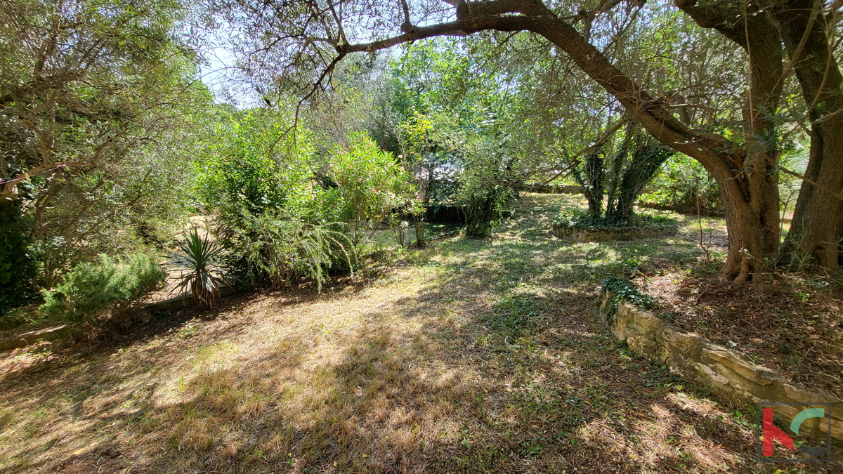 Istria, Vinkuran, casa a un piano con ampio giardino con potenziale #vendita