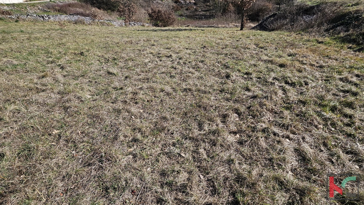 Istria - Canfanaro, terreno edificabile 1430m2, # in vendita