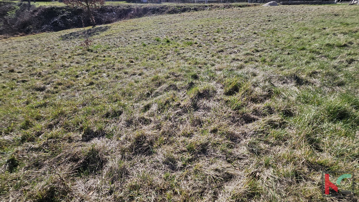 Istria - Canfanaro, terreno edificabile 1430m2, # in vendita