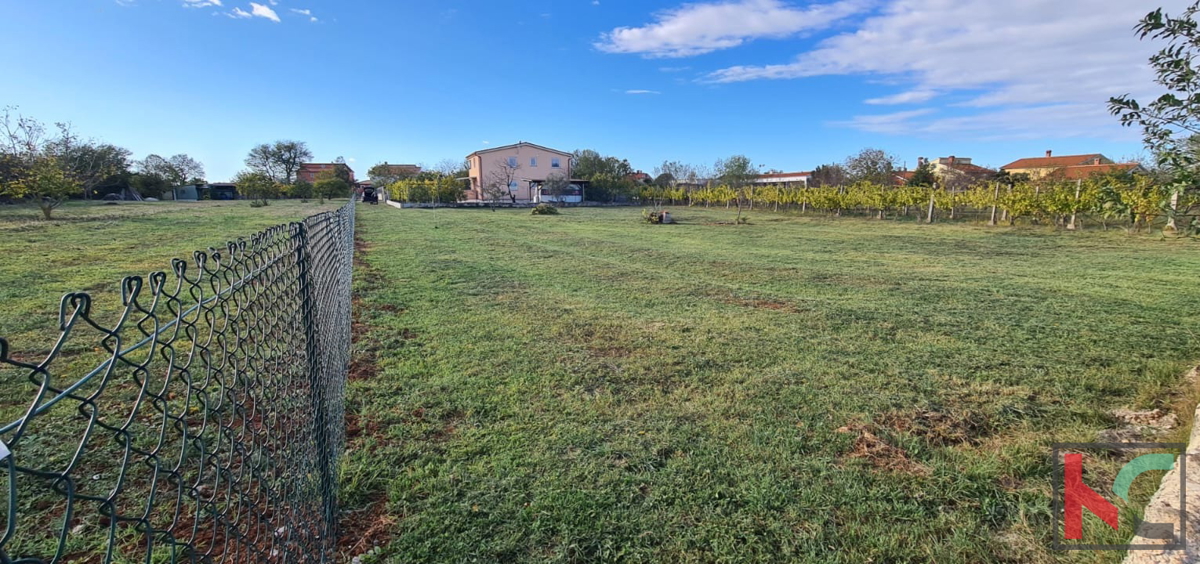 ISTRA, FAŽANA, TERRENO EDIFICABILE 524M2 #VENDITA