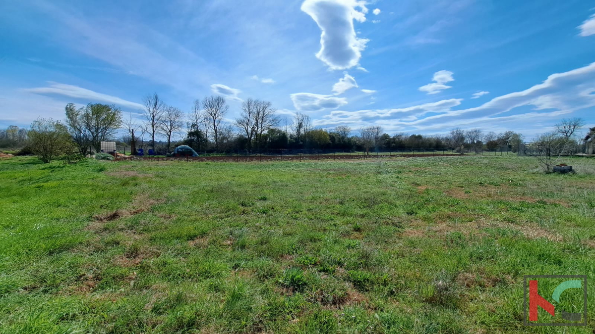 ISTRA, FAŽANA, TERRENO EDIFICABILE 524M2 #VENDITA