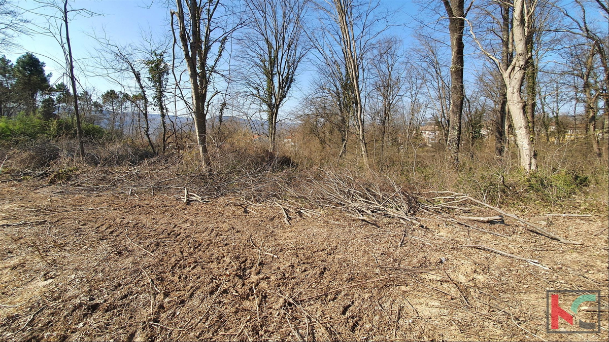 Istria - Potpićan terreno edificabile 10.128m2