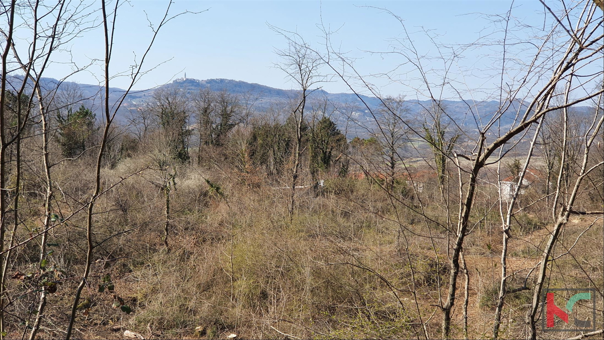 Istria - Potpićan terreno edificabile 10.128m2
