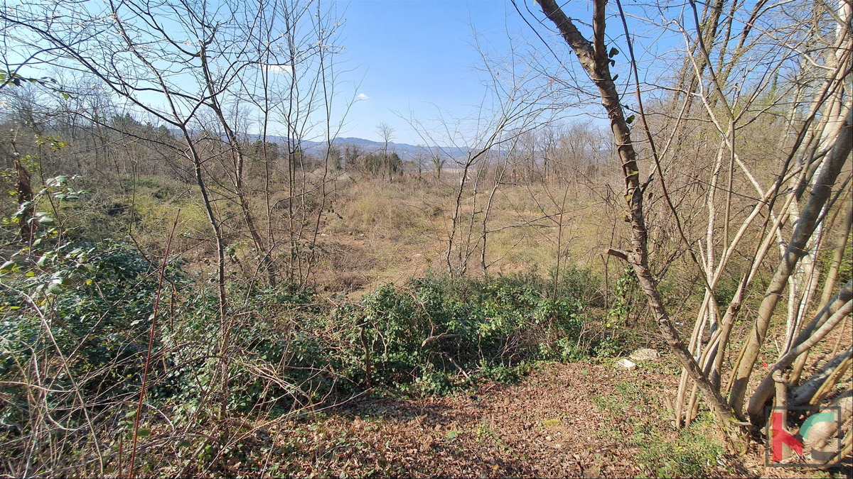 Istria - Potpićan terreno edificabile 10.128m2