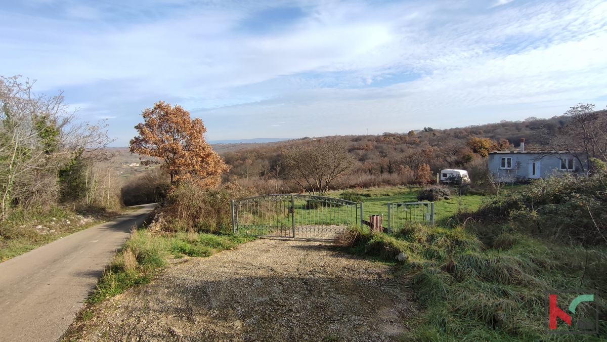 Istria, Mutvoran, terreno agricolo 12000 m2 con edificio vicino a Duga Uvala, #vendita