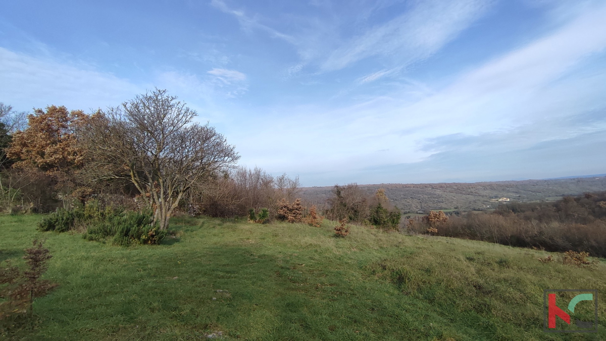 Istria, Mutvoran, terreno agricolo 12000 m2 con edificio vicino a Duga Uvala, #vendita