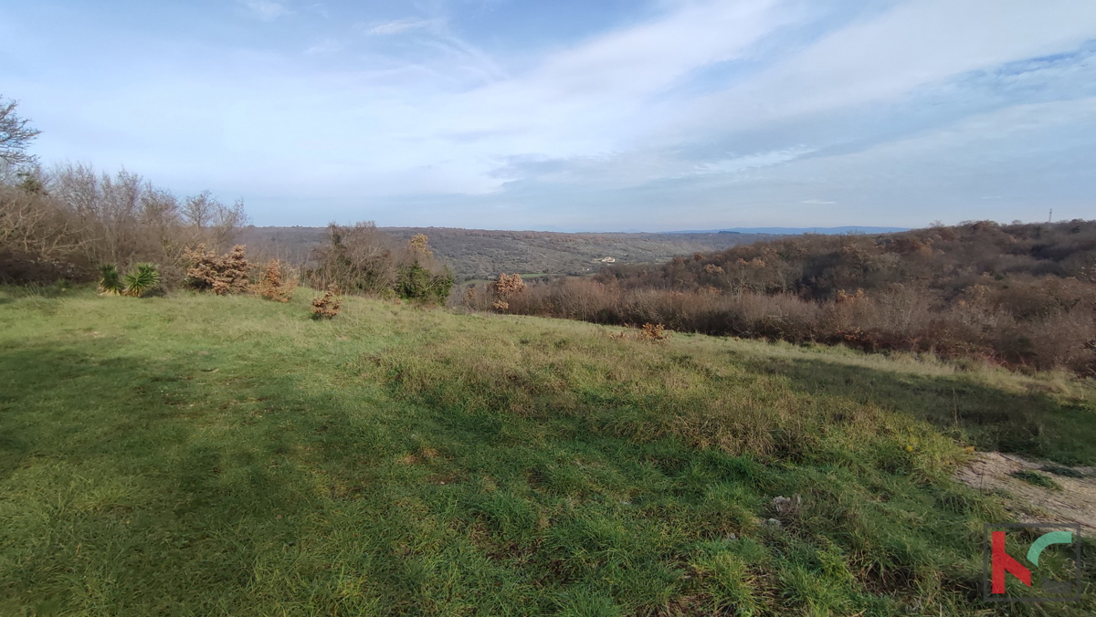 Istria, Mutvoran, terreno agricolo 12000 m2 con edificio vicino a Duga Uvala, #vendita