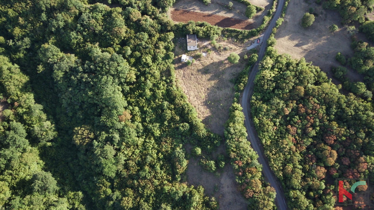 Istria, Mutvoran, terreno agricolo 12000 m2 con edificio vicino a Duga Uvala, #vendita