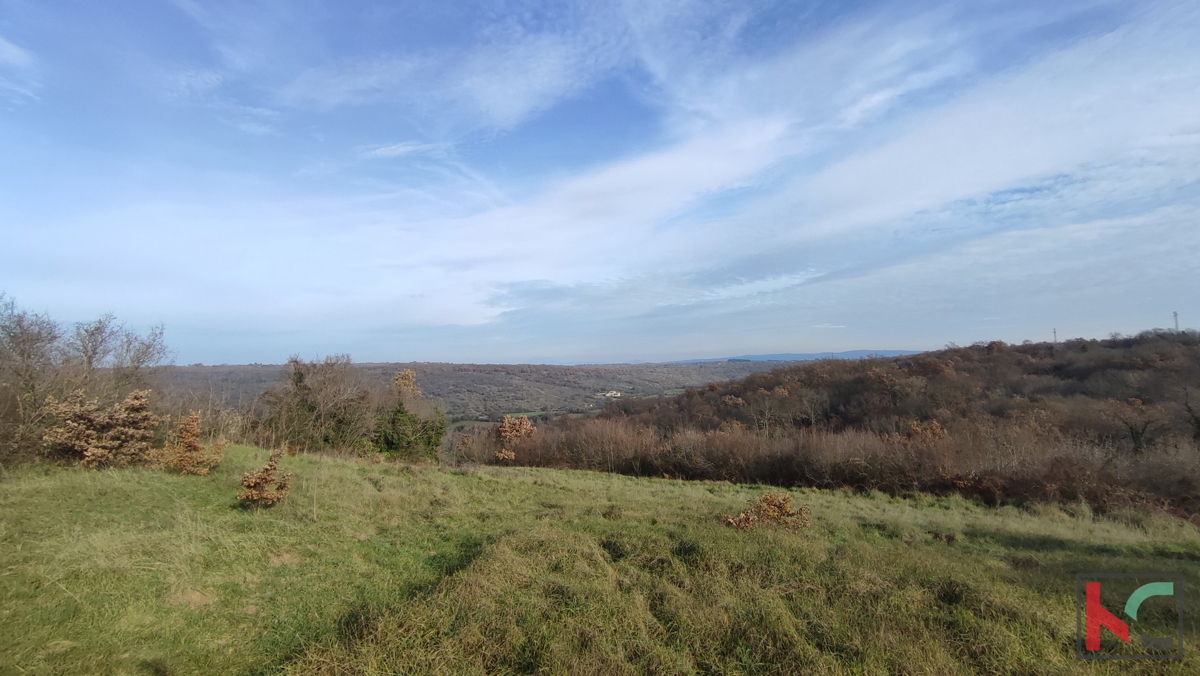 Istria, Mutvoran, terreno agricolo 12000 m2 con edificio vicino a Duga Uvala, #vendita