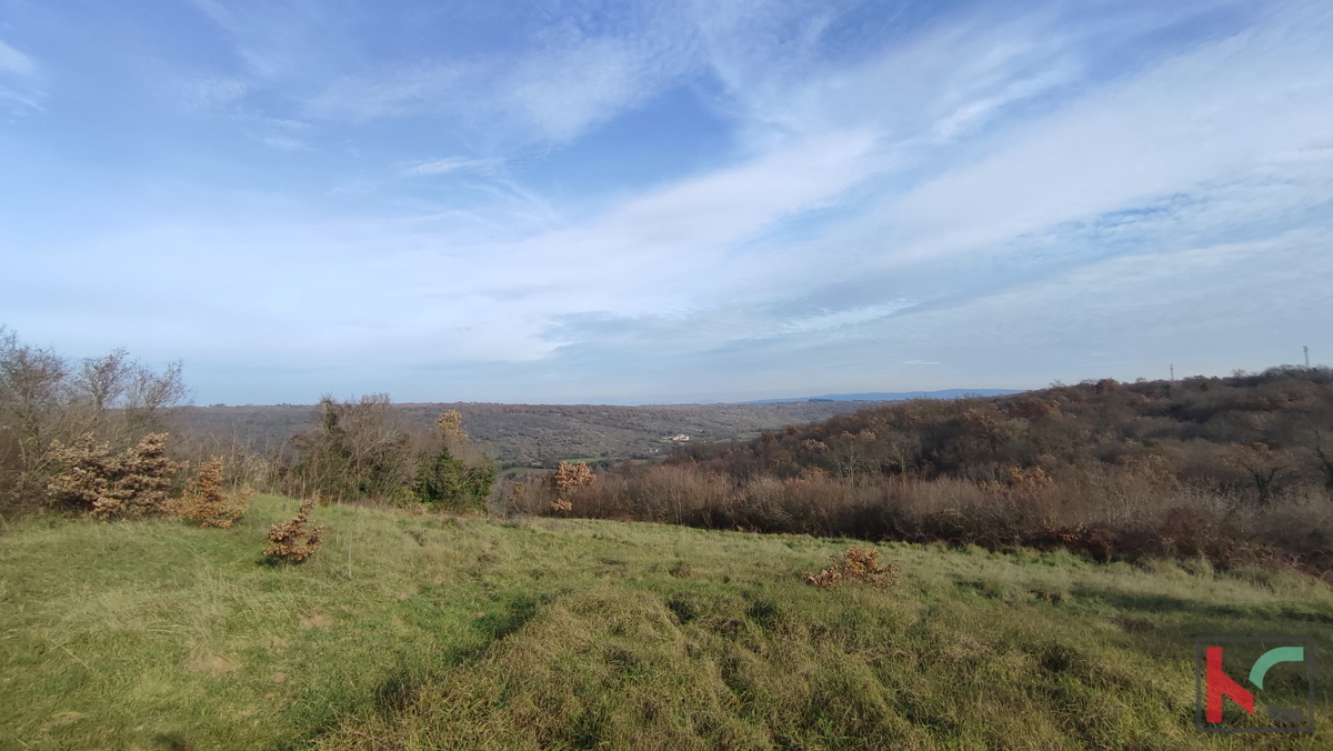 Istria, Mutvoran, terreno agricolo 12000 m2 con edificio vicino a Duga Uvala, #vendita