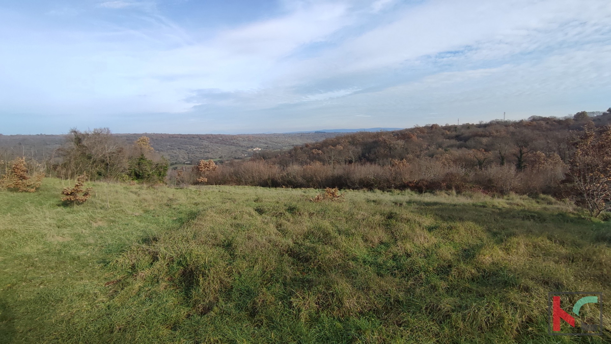 Istria, Mutvoran, terreno agricolo 12000 m2 con edificio vicino a Duga Uvala, #vendita