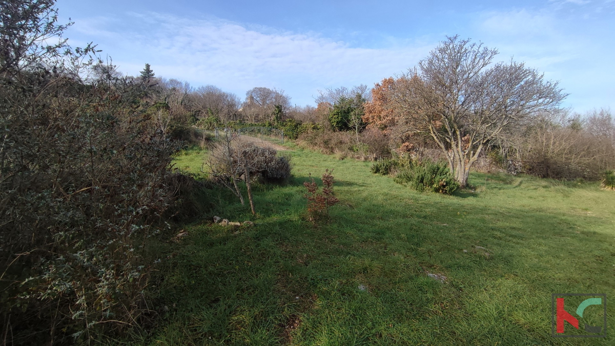 Istria, Mutvoran, terreno agricolo 12000 m2 con edificio vicino a Duga Uvala, #vendita