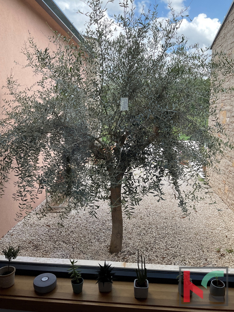 Istria, Svetvinčenat, Villa 237m2 su giardino di 1003m2 con piscina, #vendita