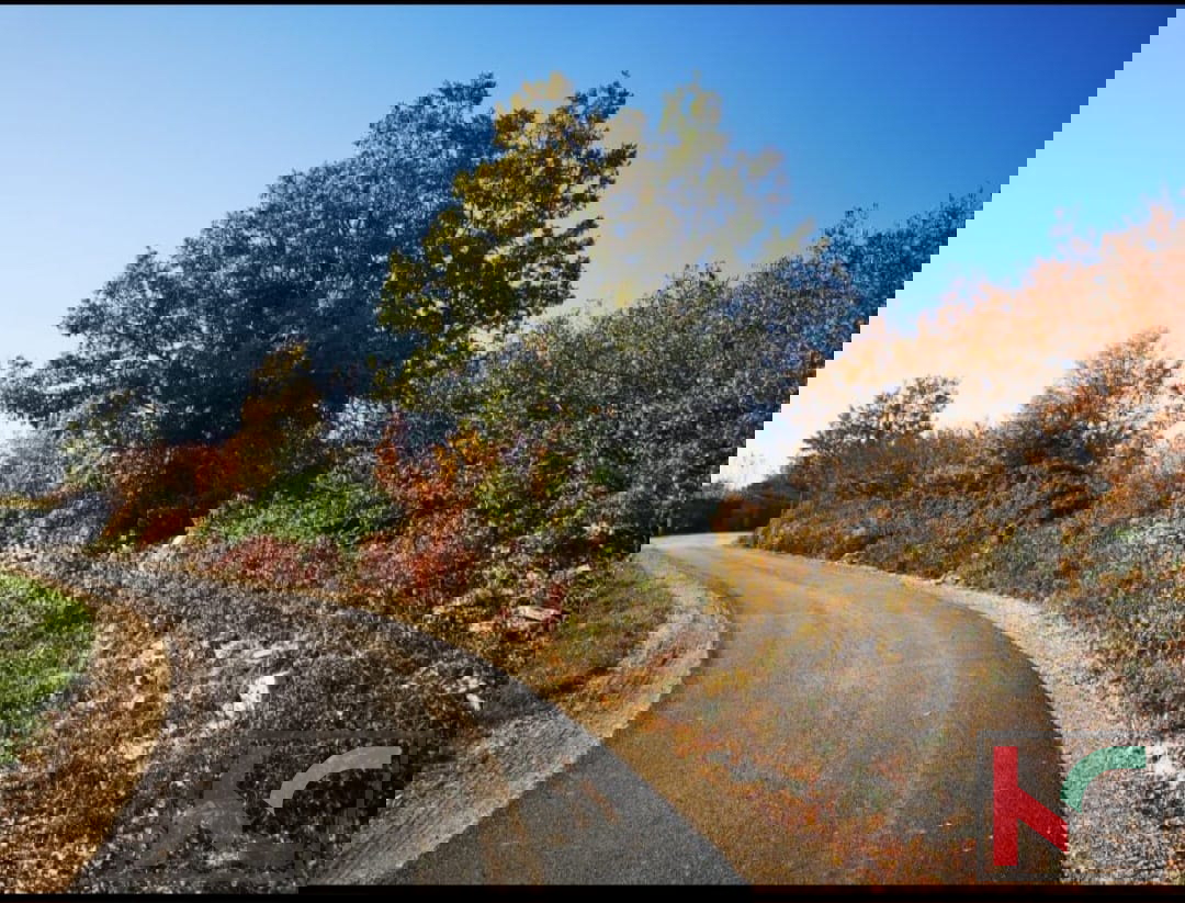 Filipana, terreno edificabile con utenze pagate e progetto di 497 m2 #vendita