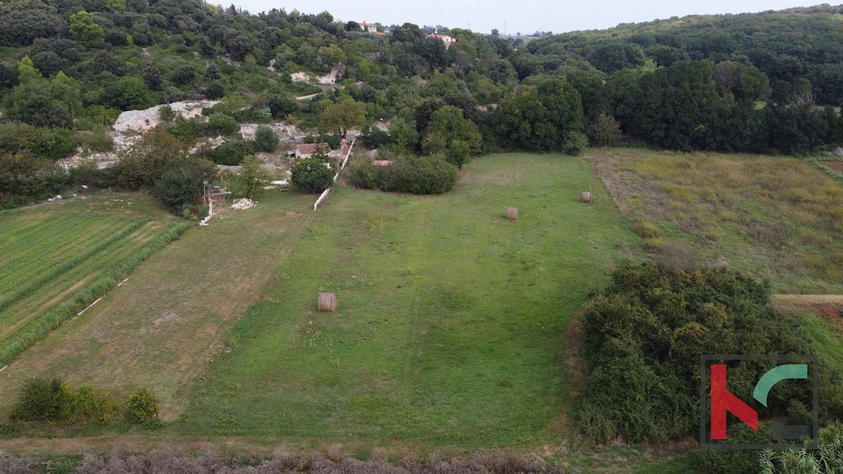 Istria, Vinkuran, terreno non urbanizzato 2441m2, #vendita