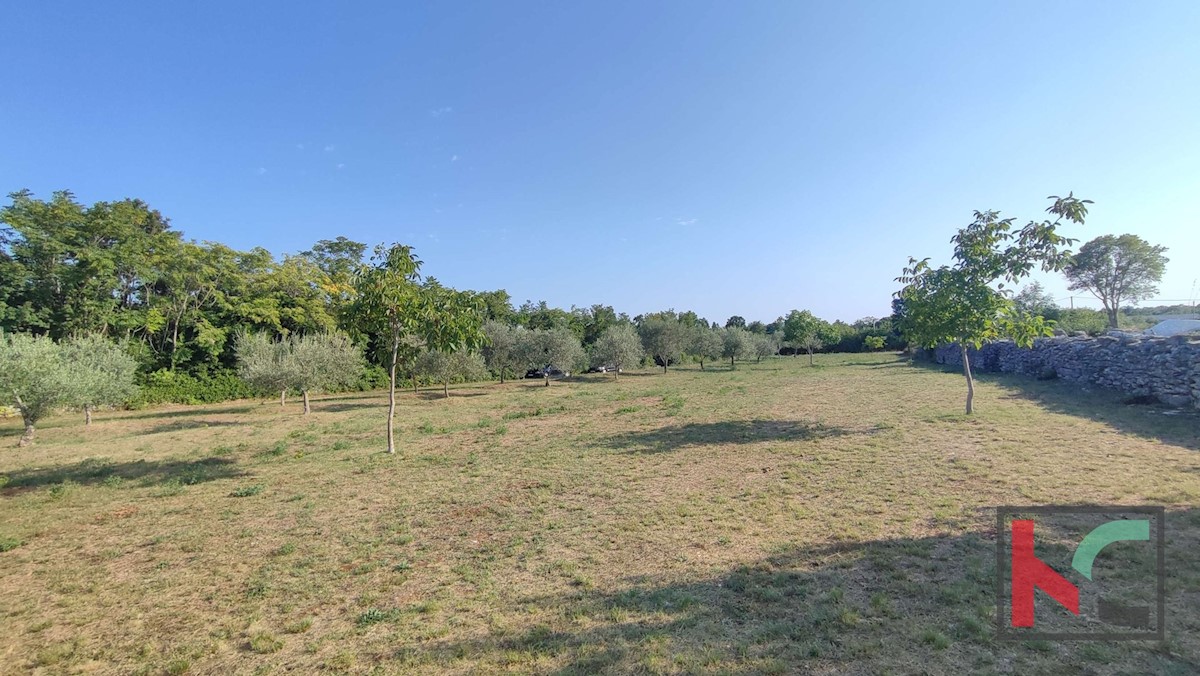 Istria, Filipana, Terreno edificabile 1191m2 - posizione tranquilla, #vendita