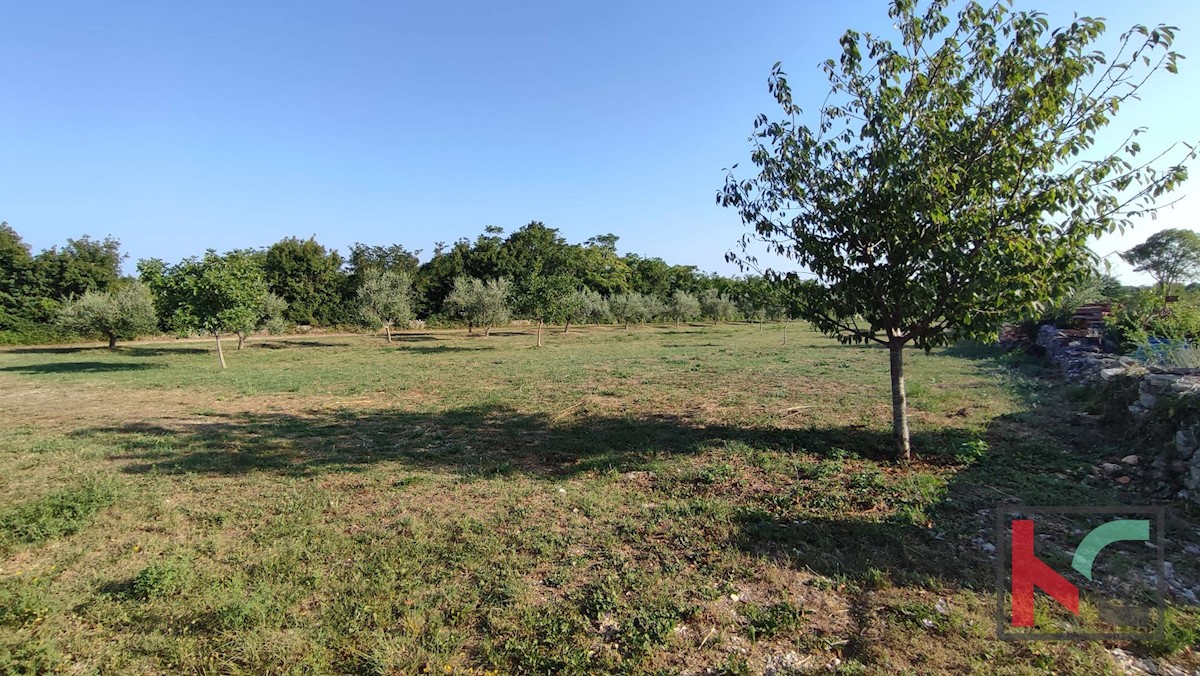 Istria, Filipana, Terreno edificabile 1191m2 - posizione tranquilla, #vendita