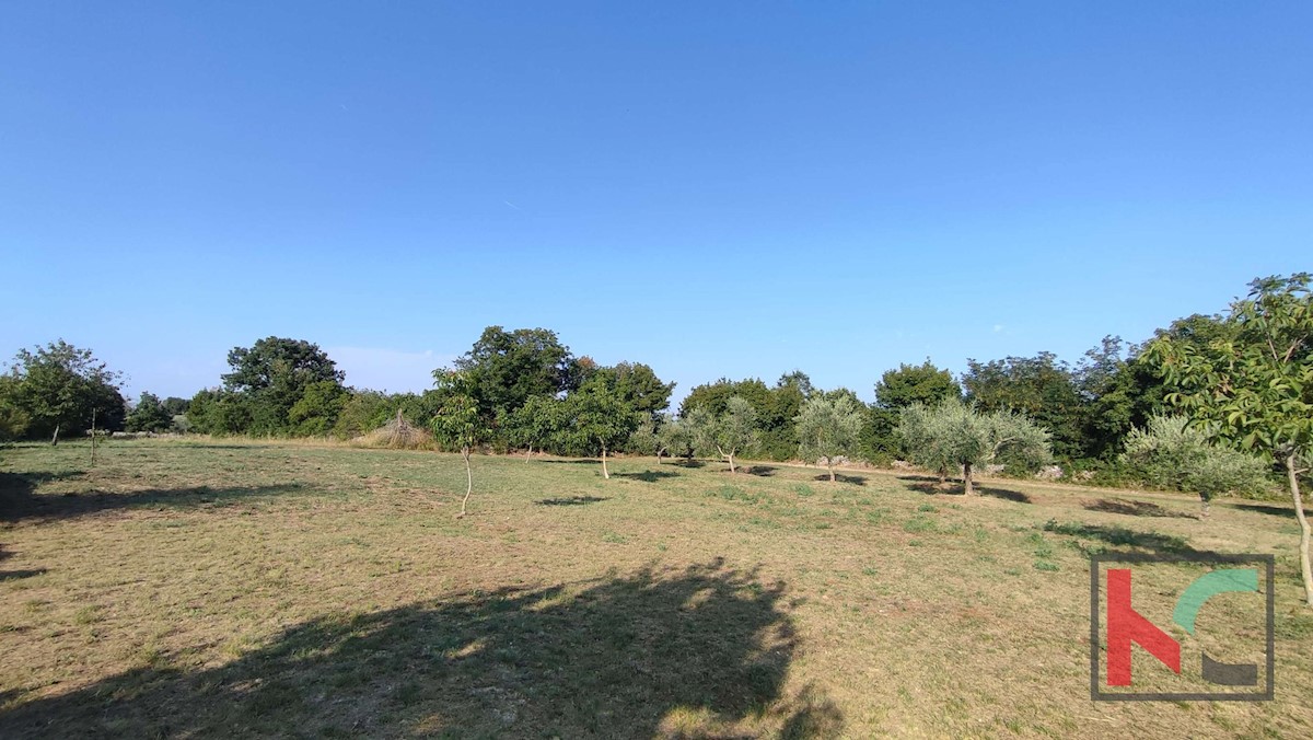 Istria, Filipana, Terreno edificabile 1191m2 - posizione tranquilla, #vendita