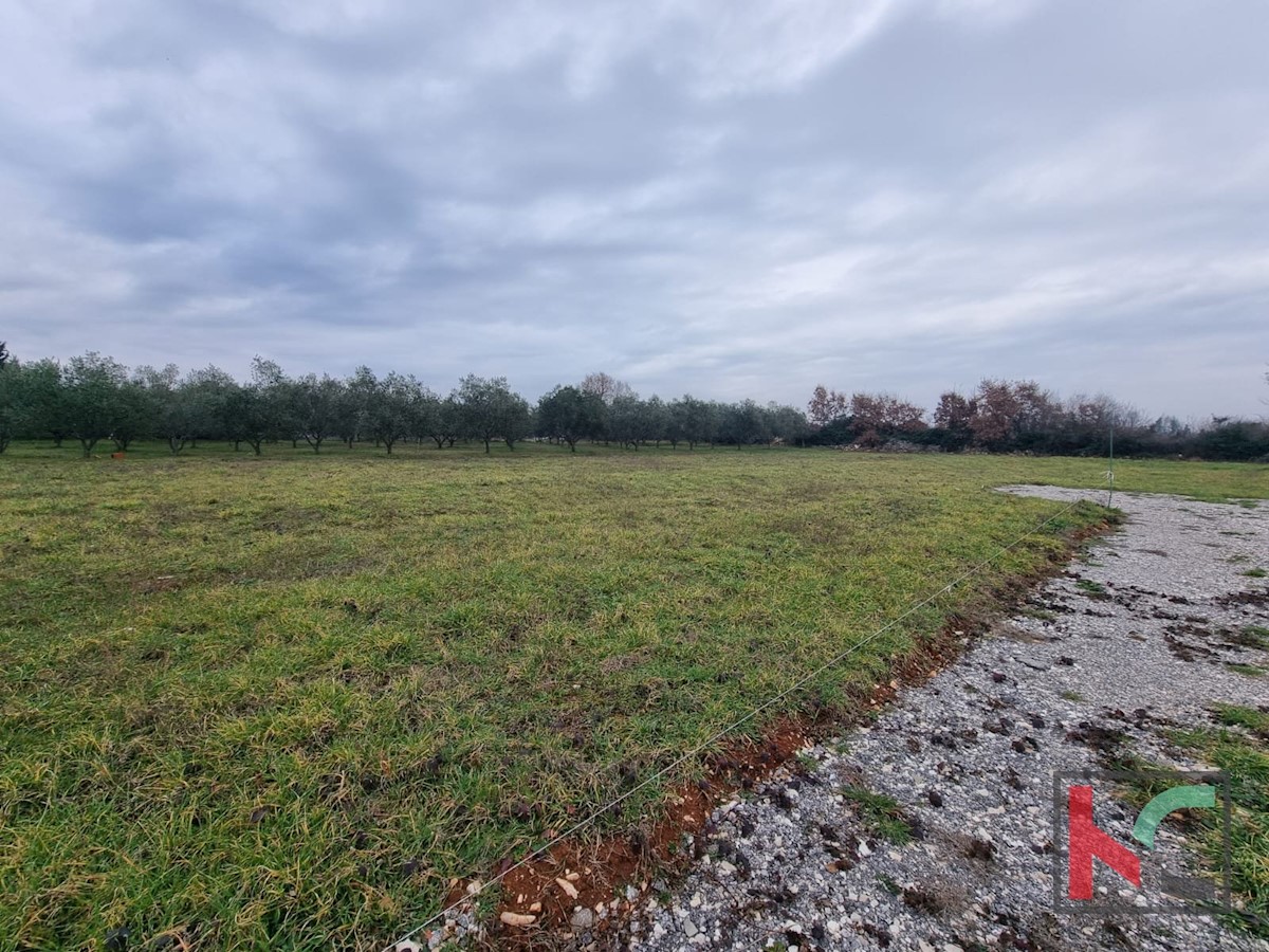 Istria, Loborika, terreno edificabile regolare 545m2, #vendita