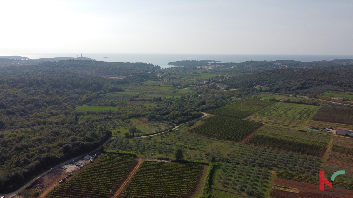 Rovigno, terreno agricolo con uliveto, vigneto e #vendita edilizia legalizzata