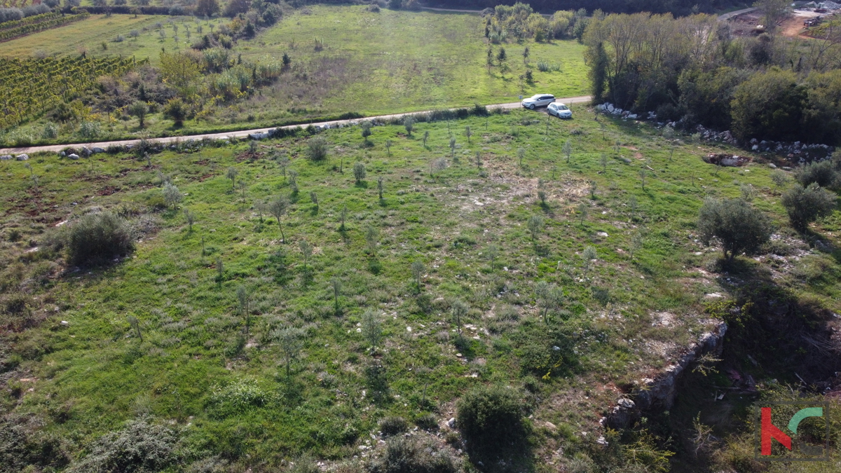 Rovigno, terreno agricolo con uliveto, vigneto e #vendita edilizia legalizzata
