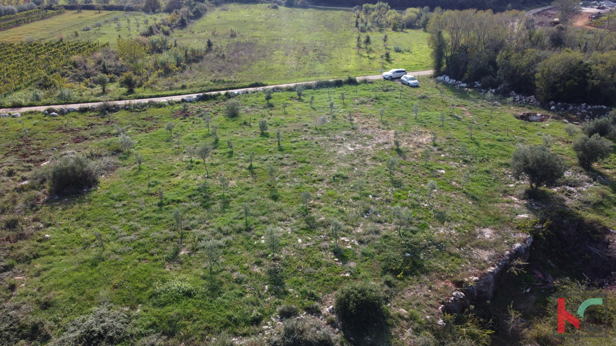 Rovigno, terreno agricolo con uliveto, vigneto e #vendita edilizia legalizzata