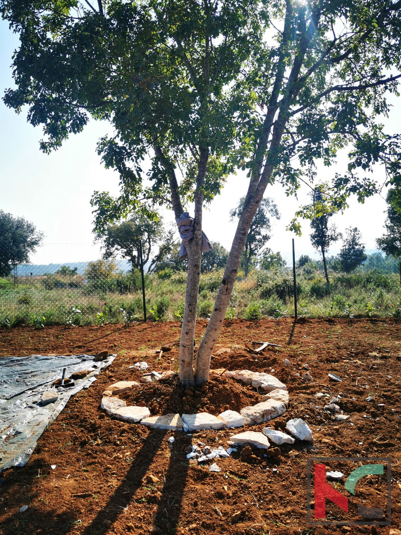 Pola, Šijana, terreno agricolo 2200m2 con progetto edificabile e piscina #vendita