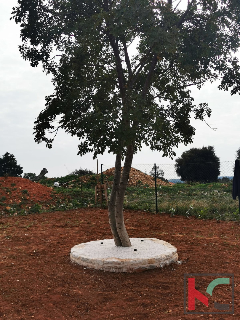 Pola, Šijana, terreno agricolo 2200m2 con progetto edificabile e piscina #vendita