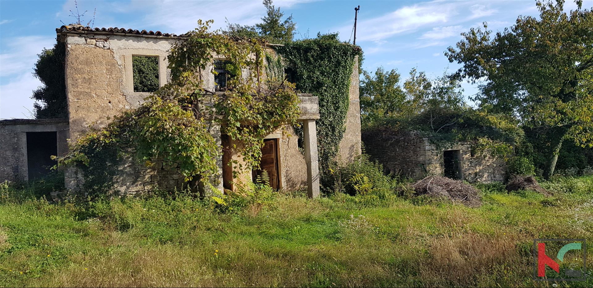 Gračišće, Lančišće vecchia casa istriana 300m2 orto 1353m2 edificio e 5500m2 terreno agricolo, #vendita