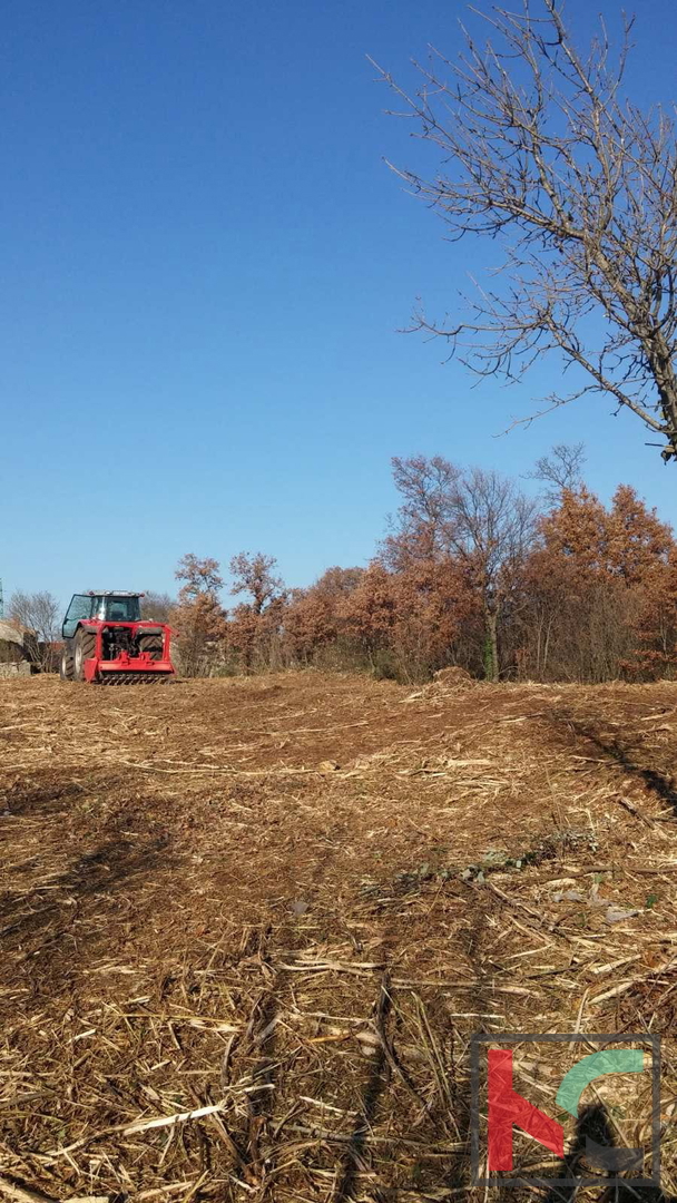 Istria, comune di Svetvinčenat, terreno edificabile 1920m2 #vendita