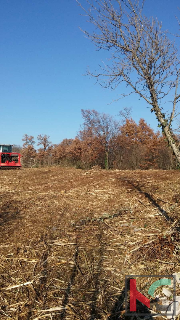 Istria, comune di Svetvinčenat, terreno edificabile 1920m2 #vendita