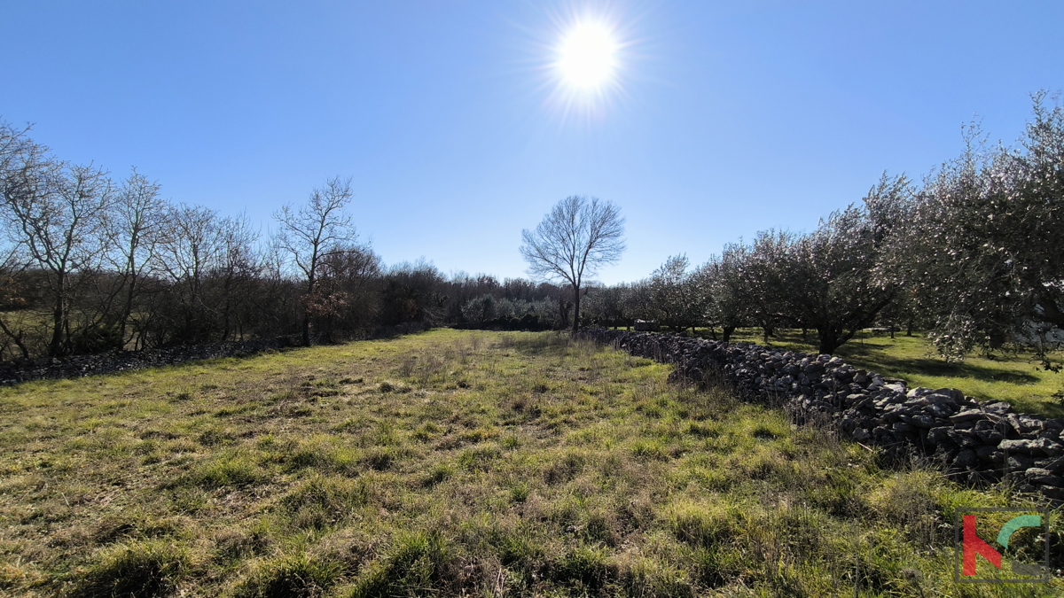 KRNICA, DINTORNI, TERRENO EDIFICABILE 1336m2