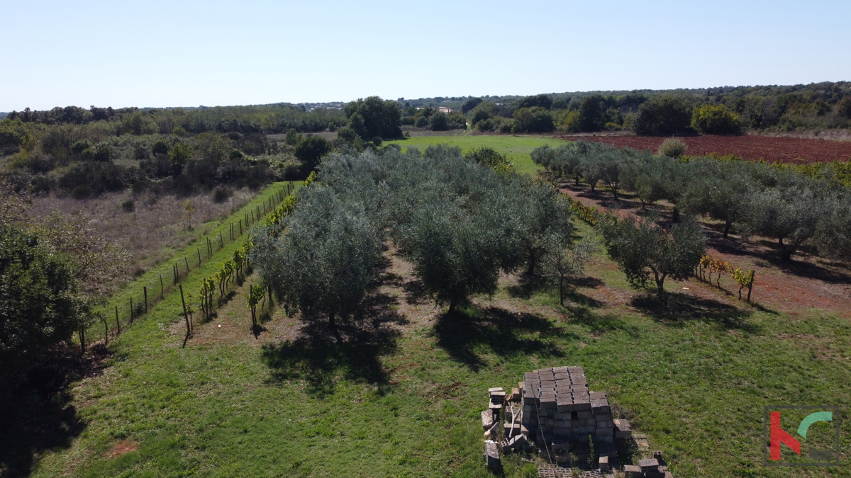 ISTRA, MARČANA, TERRENO 2507M2 COMBINATO EDIFICABILE CON PARTE NON URBANIZZATA, VENDITA