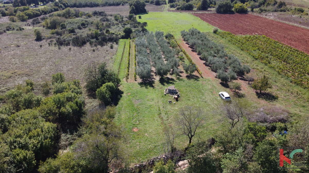 ISTRA, MARČANA, TERRENO 2507M2 COMBINATO EDIFICABILE CON PARTE NON URBANIZZATA, VENDITA