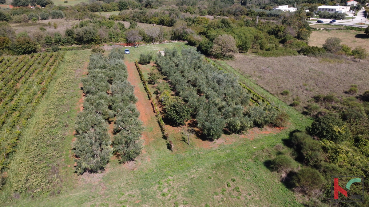 ISTRA, MARČANA, TERRENO 2507M2 COMBINATO EDIFICABILE CON PARTE NON URBANIZZATA, VENDITA