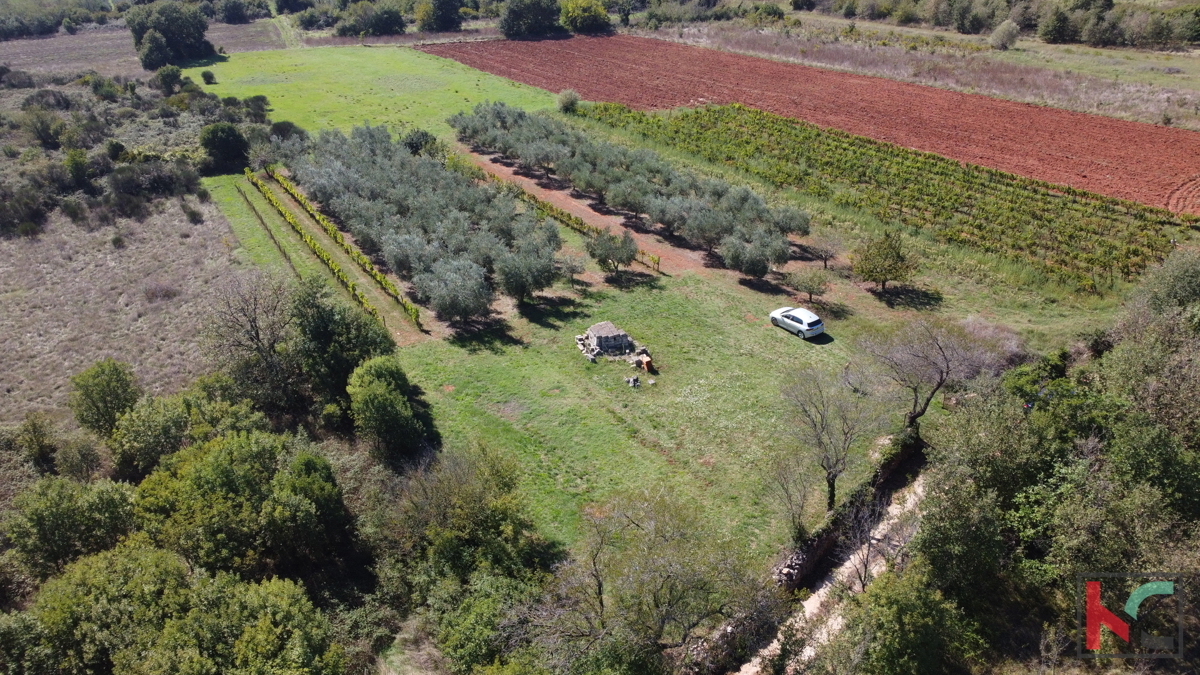 ISTRA, MARČANA, TERRENO 2507M2 COMBINATO EDIFICABILE CON PARTE NON URBANIZZATA, VENDITA