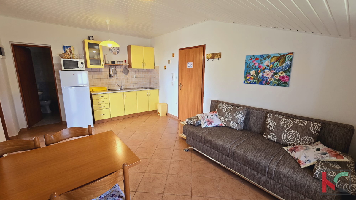 Liznjan, appartamento con vista mare e ampia terrazza di 40 m2 #vendita