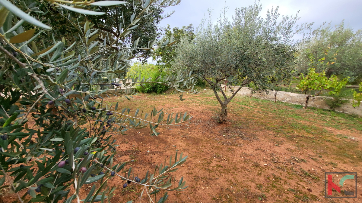 Istria - Peruški, casa su un ampio terreno di 1000m2, vista mare # in vendita