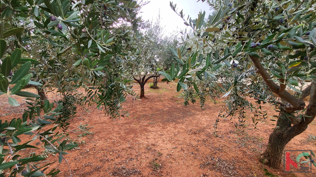 Istria - Peruški, casa su un ampio terreno di 1000m2, vista mare # in vendita