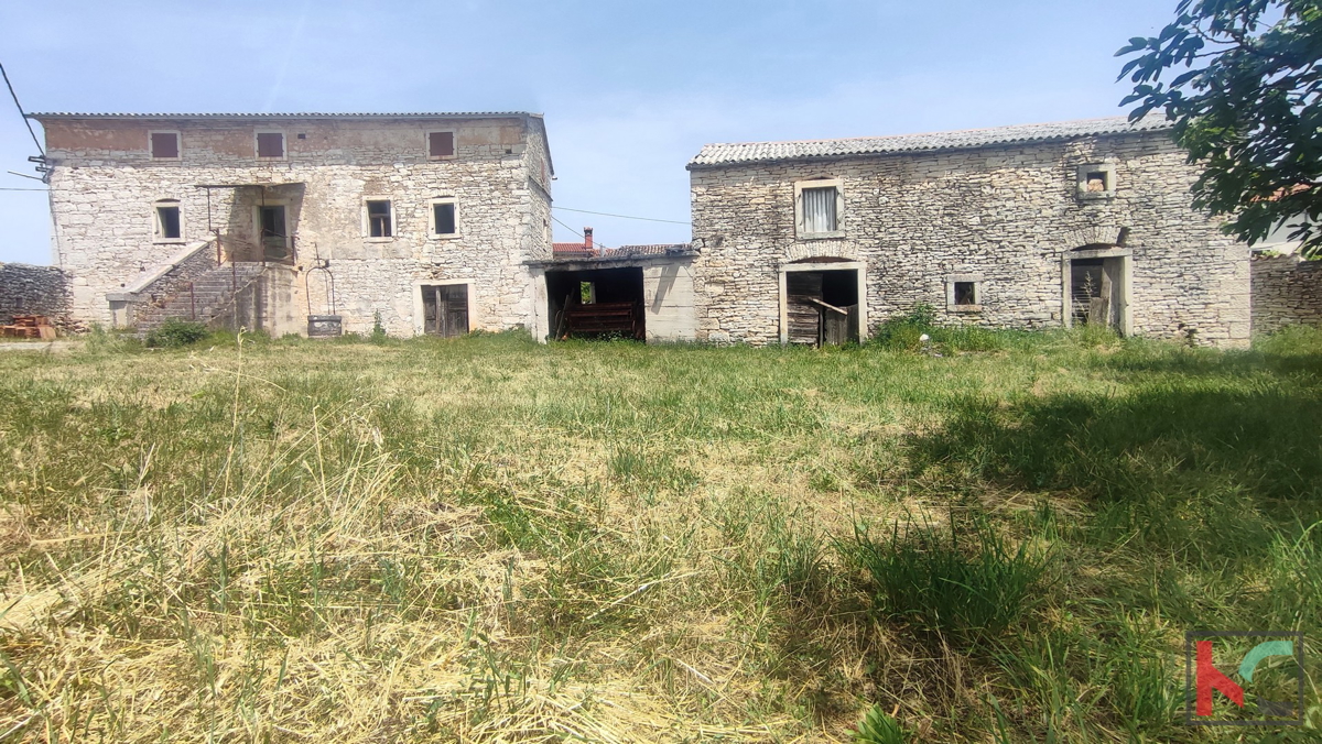 Istria, Svetvinčenat, due case autoctone in pietra d'Istria con giardino, #vendita