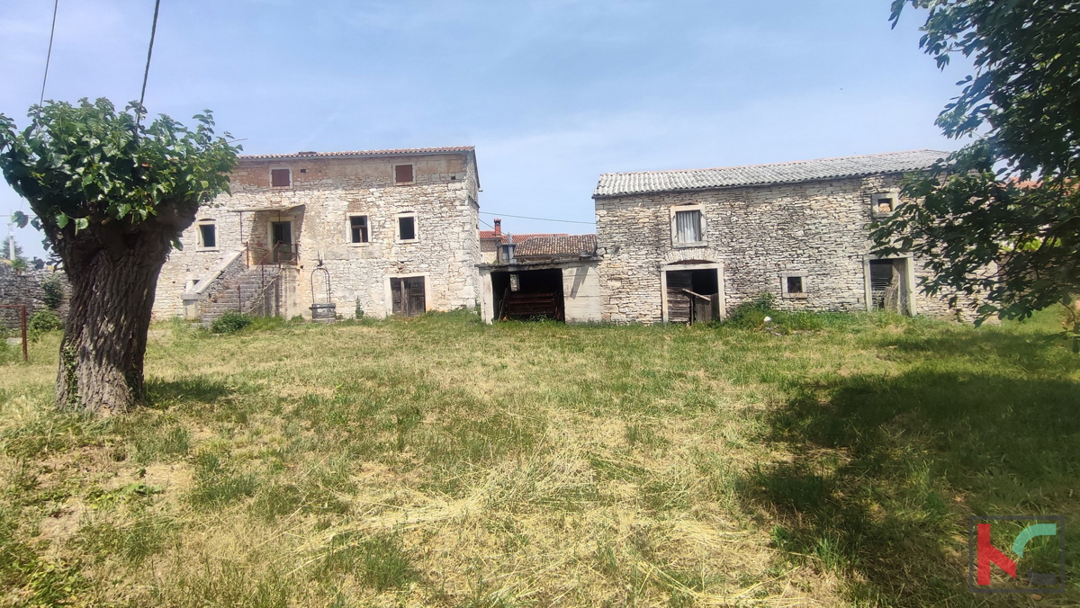 Istria, Svetvinčenat, due case autoctone in pietra d'Istria con giardino, #vendita