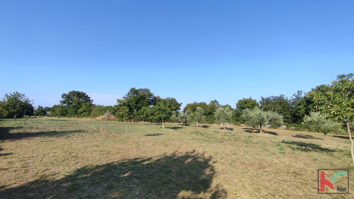 Istria, Filipana, Terreno edificabile 1191m2 - posizione tranquilla, #vendita