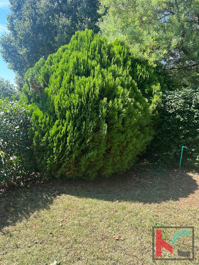 Rovigno, appartamento 1 camera da letto + soggiorno 37,30 m2 #vendita