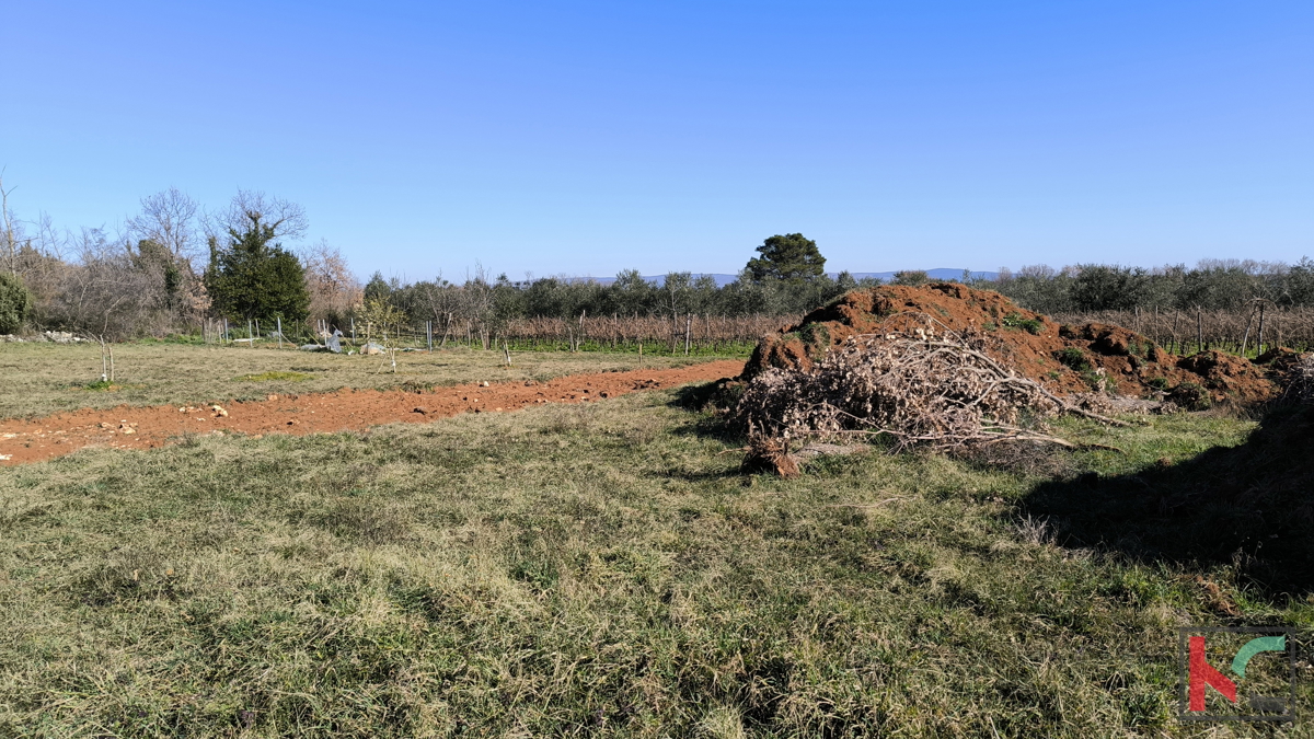 MARČANA, TERRENO CON PERMESSO PER CASA CON PISCINA #VENDITA