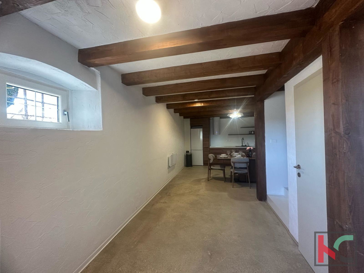 TINJAN, COMPLETELY RENOVATED AUSTRIAN HOUSE WITH POOL AND FINNISH SAUNA, #SALE