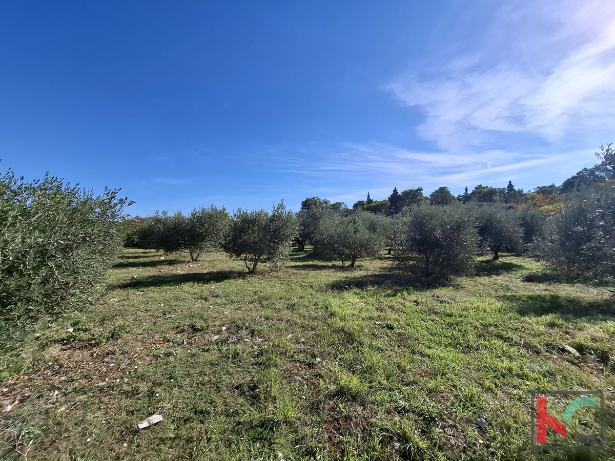 ISTRA, RAKALJ, TERRENO EDIFICABILE E AGRICOLO ATTRATTIVO DI 2422 m2 IN VENDITA