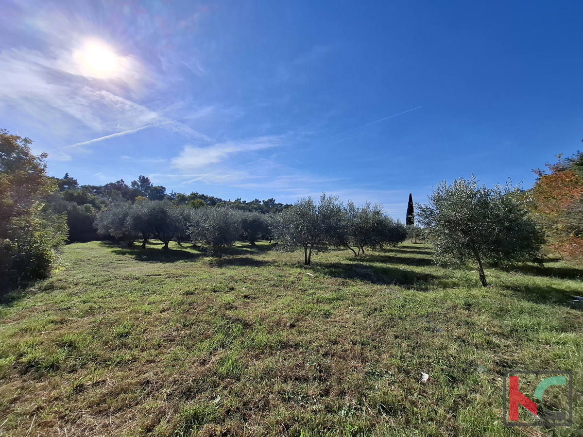 ISTRA, RAKALJ, TERRENO EDIFICABILE E AGRICOLO ATTRATTIVO DI 2422 m2 IN VENDITA