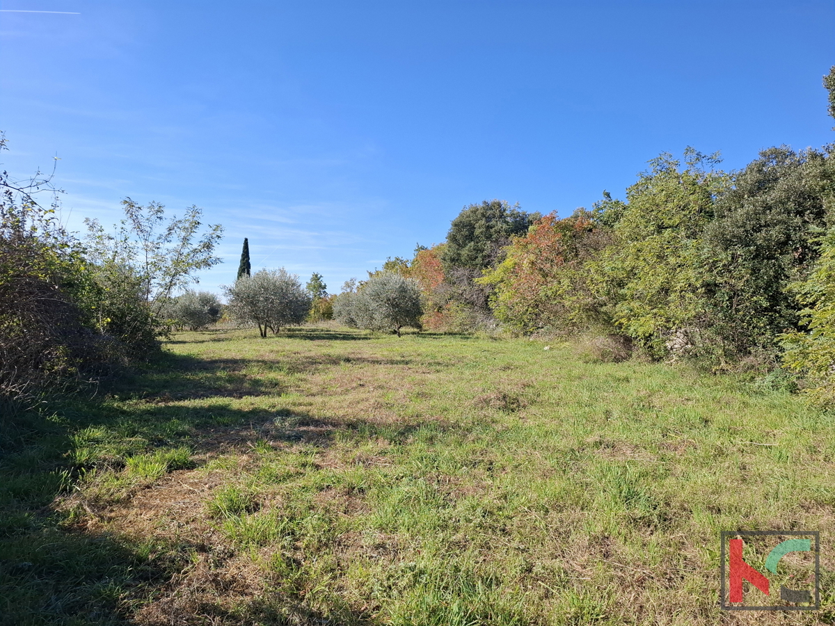 ISTRA, RAKALJ, TERRENO EDIFICABILE E AGRICOLO ATTRATTIVO DI 2422 m2 IN VENDITA