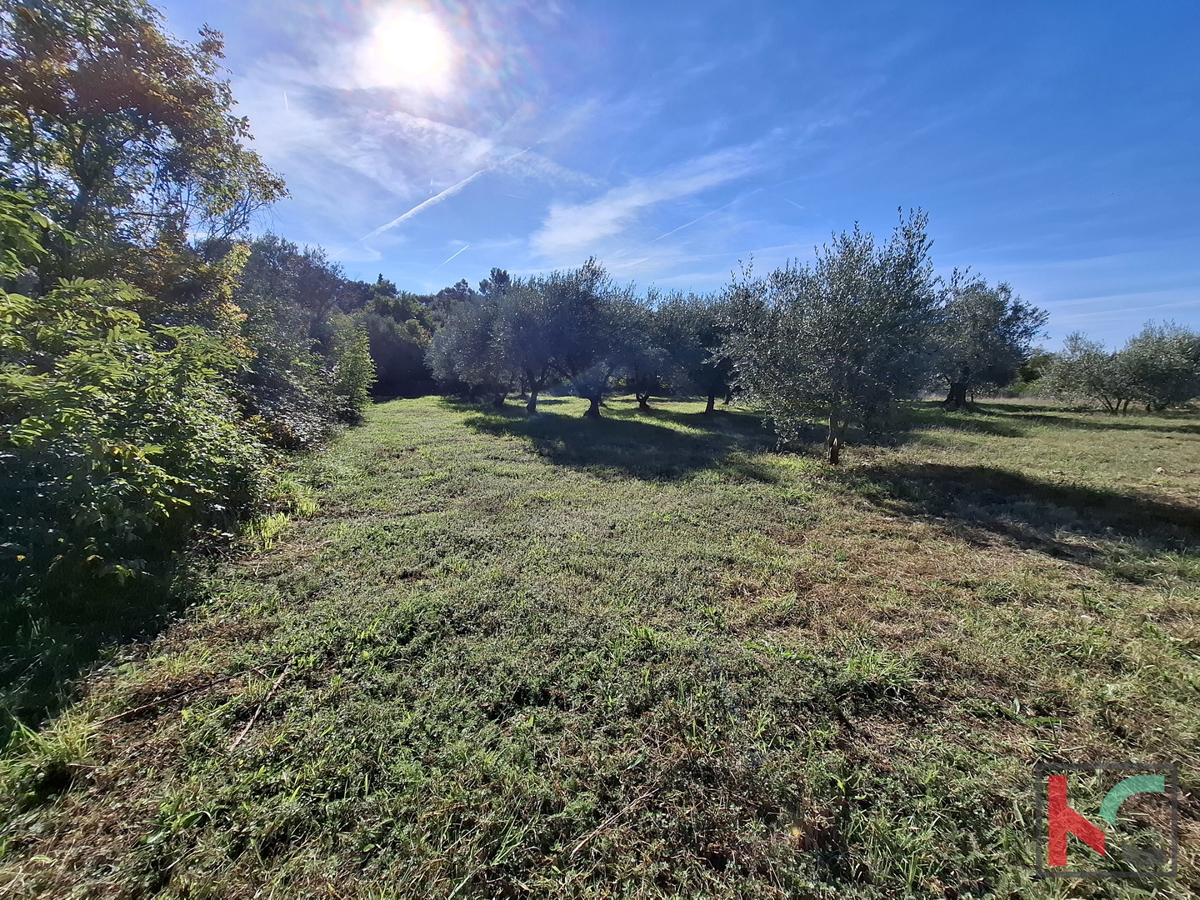 ISTRA, RAKALJ, TERRENO EDIFICABILE E AGRICOLO ATTRATTIVO DI 2422 m2 IN VENDITA